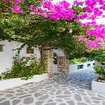 αικατερίνη 3*