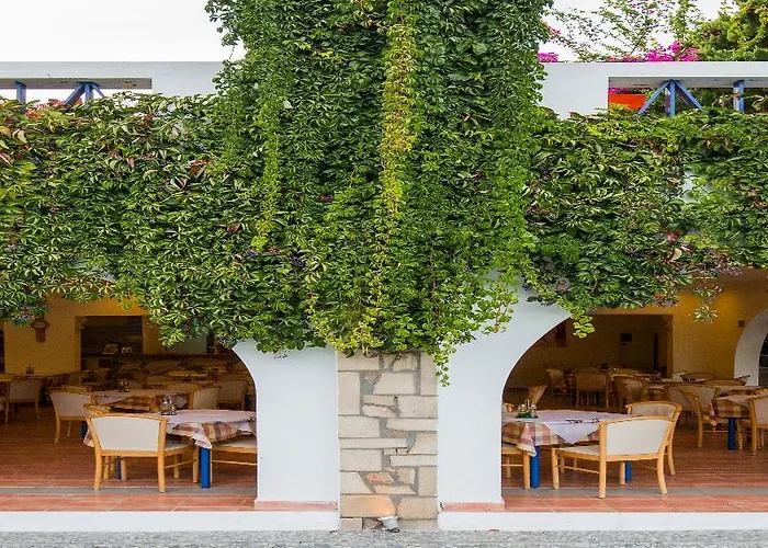 Ekaterini 3* Киотари