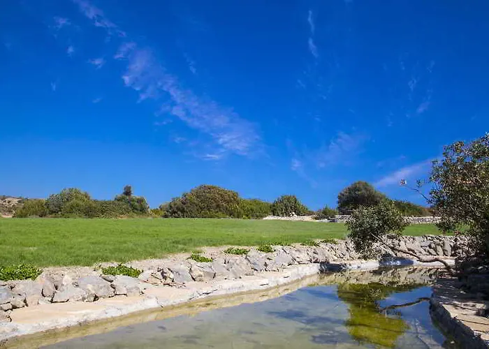 Ekaterini Киотари