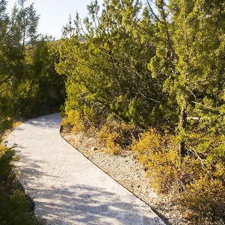 Ekaterini 3*