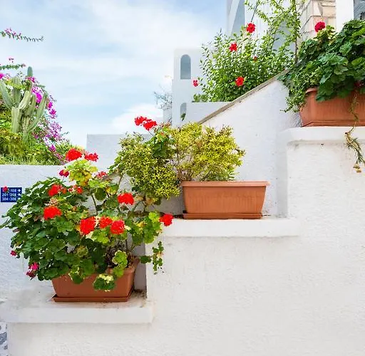 Ekaterini Hotel apartamentowy